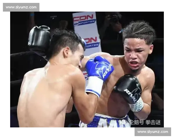 克利钦科与皮特激战回顾：拳坛传奇对决再掀波澜